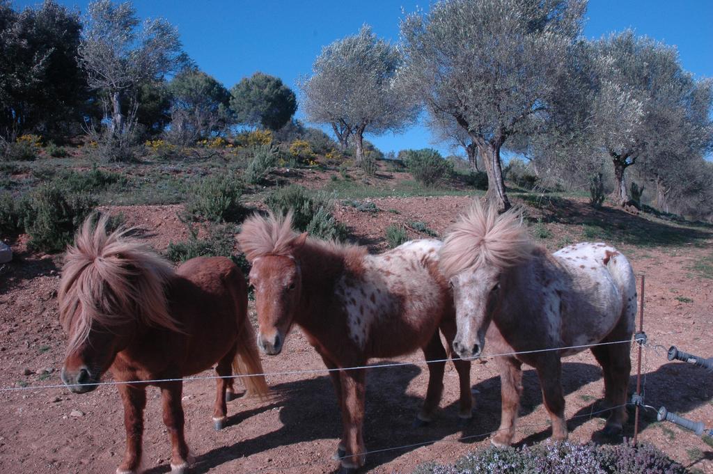 Masoveria De Lladó Llado Exterior foto